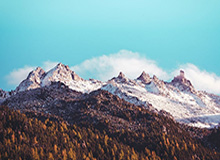 济南舞蹈老师冉冉，自拍展示御姐风骚身材，小穴撩人，真想掀起裙子猛操一顿！