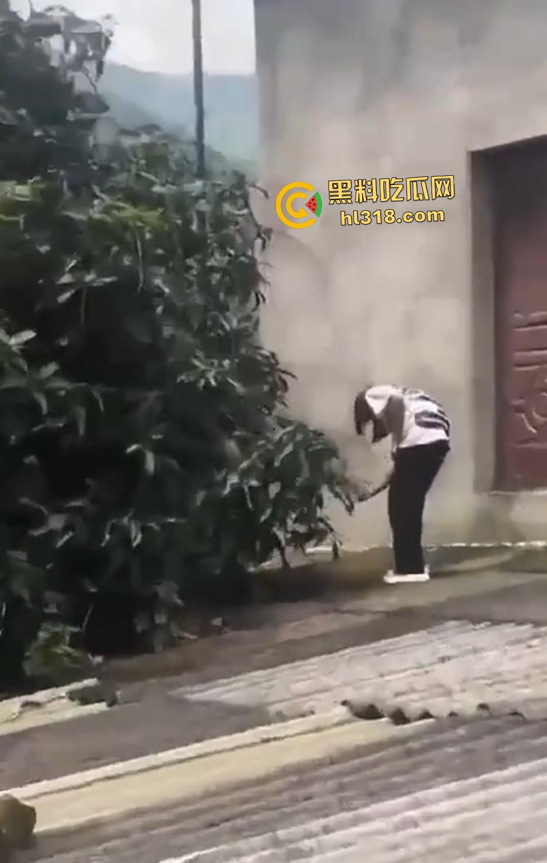 集美组团偷芒果翻车!白衣女孩瓦房“跳关”坠落陷阱,谁知这却是房主故意的陷阱!-6
