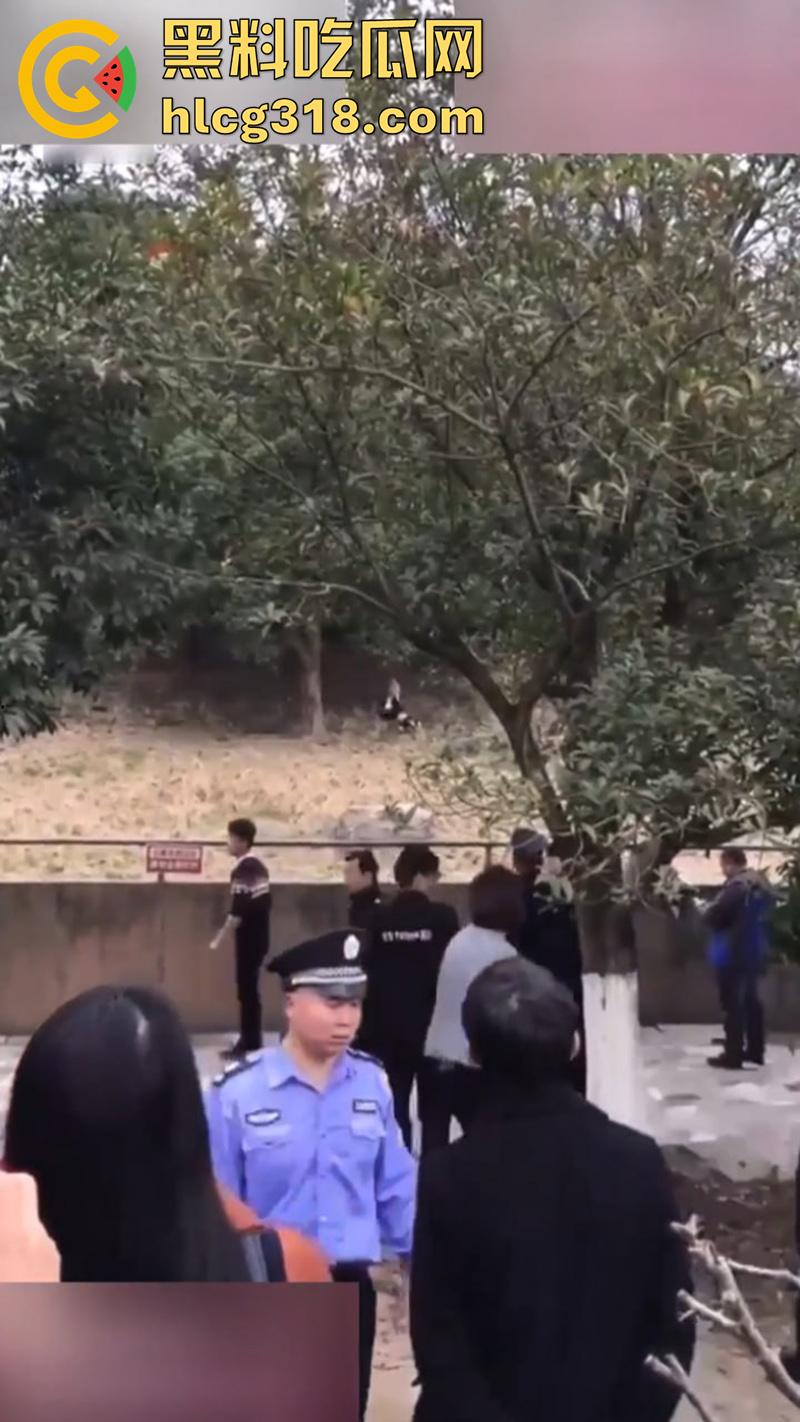 聪明人费尽心思，不如蠢人灵机一动！浙江男子翻越围墙撸老虎，被老虎当场咬死，该老虎已被射杀！-3