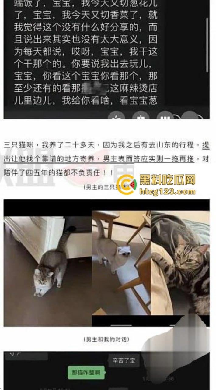 贵圈真乱！【九头身日奈】实名曝光男友【于谢顶】劈腿聊骚 同时吊五女 另附开房视频 真时间管理大师-6