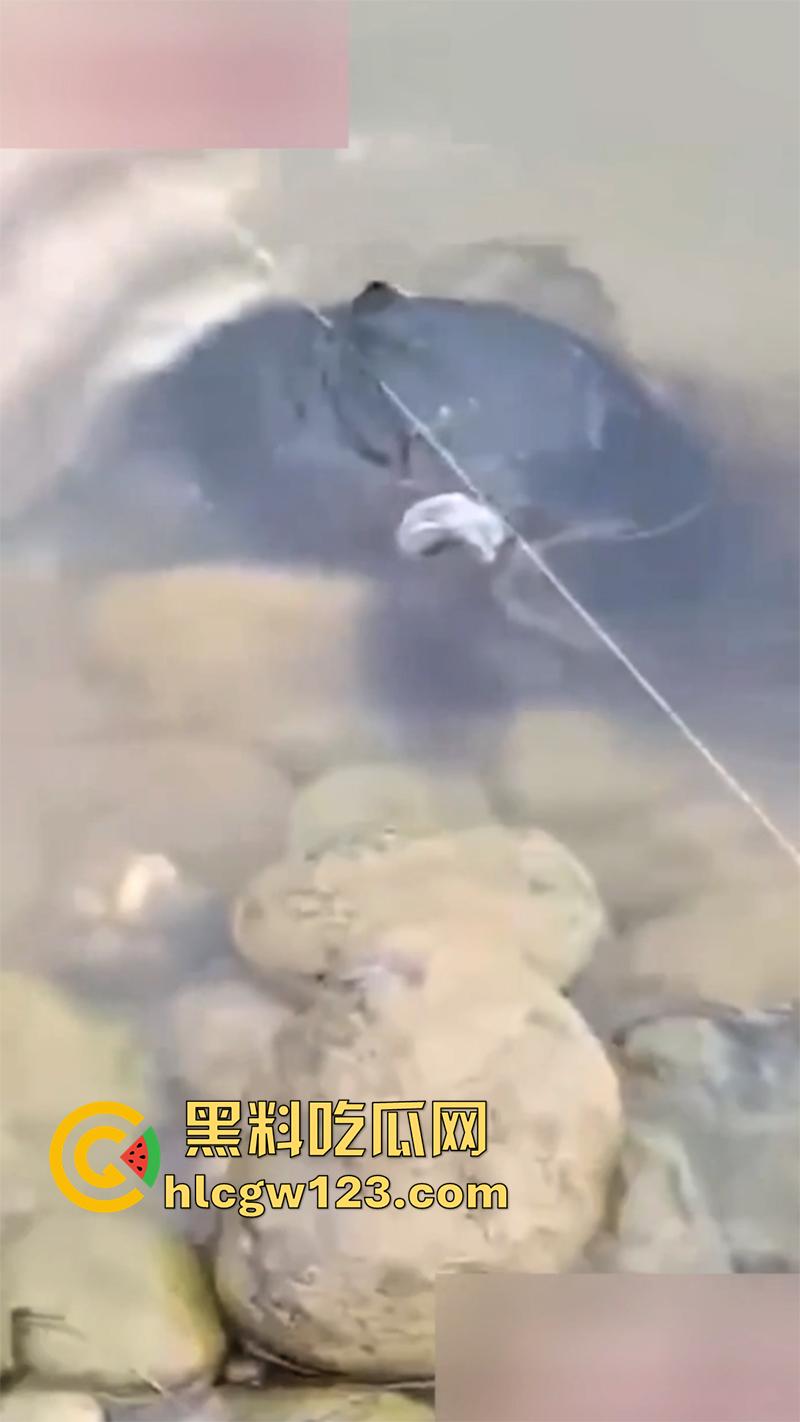 长腿颜值陪酒女,跳河自杀尸体被发现,平时风骚火辣撩丝的人魂儿都没了,竟也是个痴情的种!-6