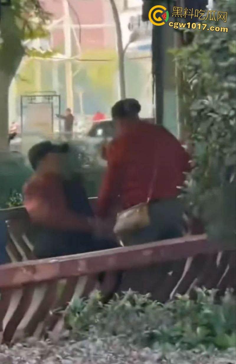 大白天凉亭活春宫，红衣大妈脱裤骑大爷，女上位啪啪响场面极其辣眼睛，大爷满脸春光，围观老头脸都红爆了 ！