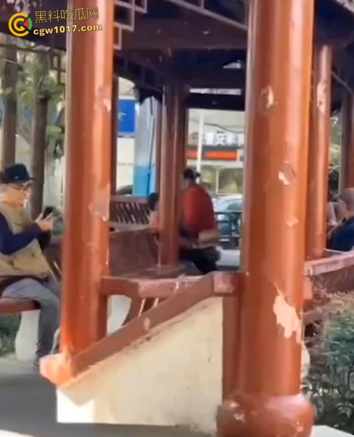 大白天凉亭活春宫,红衣大妈脱裤骑大爷,女上位啪啪响场面极其辣眼睛,大爷满脸春光,围观老头脸都红爆了 !-7