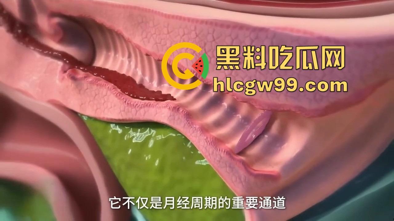 健康的阴道到底啥味儿?为啥说有股酸奶味 真的是乳酸菌的功劳吗?-11