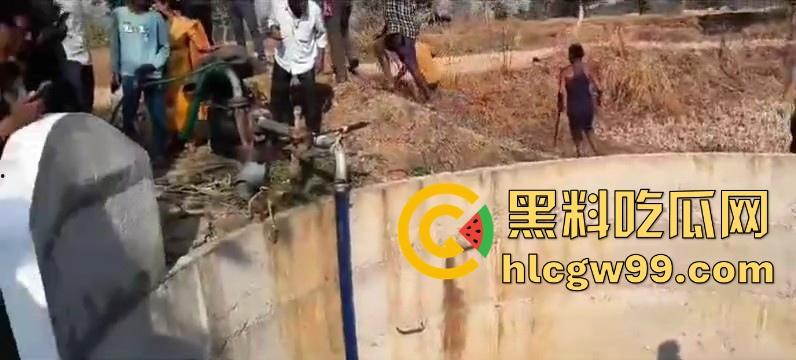 完达山一号再现?印度三哥野生老虎因追逃野猪双双落入水井,这次三哥不会趁老虎之危了吧!-3