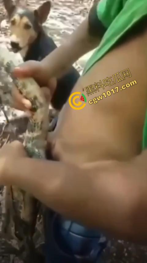 印度阿三享受变态玩乐:鸡巴爆操蜥蜴嫩穴,直到精液喷涌,炫耀异样快感,震撼画面引无数网民围观-2