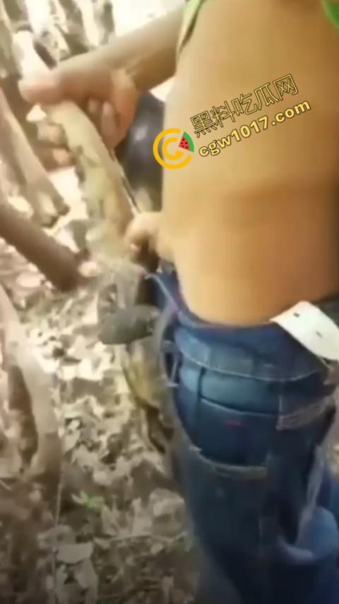 印度阿三享受变态玩乐:鸡巴爆操蜥蜴嫩穴,直到精液喷涌,炫耀异样快感,震撼画面引无数网民围观-5