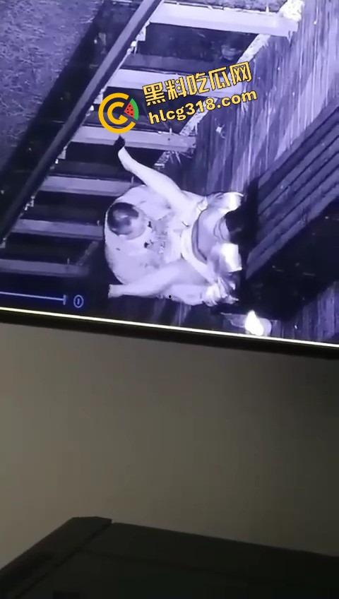 杭州公园长椅野战全程被监控拍下,两人全程激烈拉伸还换姿势,保安看回放笑抽了,上夜班果然有福利!-6