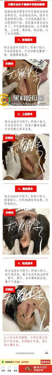 仿真牛逼飞机吞屌神器,各式号码选配让你爽,谁买这玩意撸?印度阿三日牛舔逼狂爱,卖他们直接当首富!-6