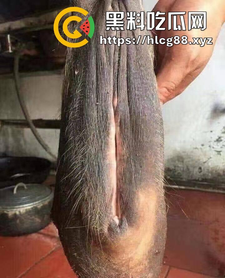 仿真牛逼飞机吞屌神器,各式号码选配让你爽,谁买这玩意撸?印度阿三日牛舔逼狂爱,卖他们直接当首富!-12