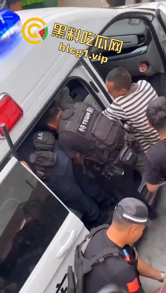 甘孜白玉县城惊现贵宾!金钱豹进城,周围居民直接呆住!-5