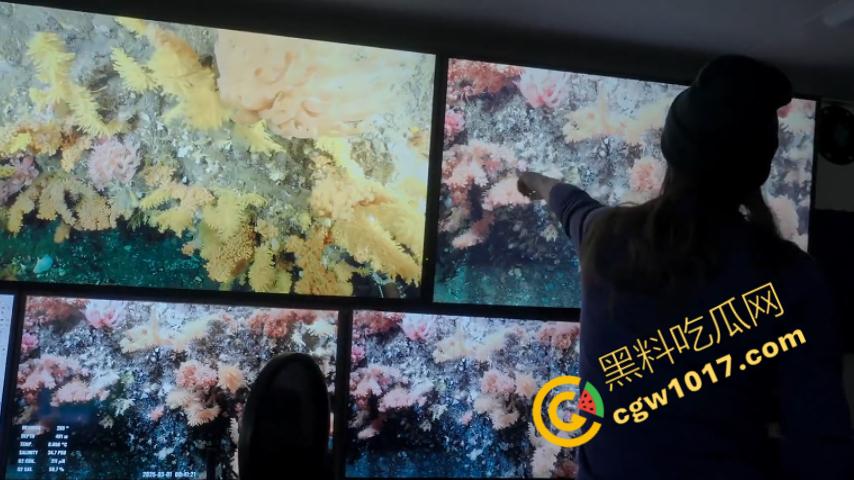 南极科考内部视频劲爆流出:30种未知致命生物!从“死亡之球”到“僵尸蠕虫”,史前病毒横行,足以令人毛骨悚然!-10