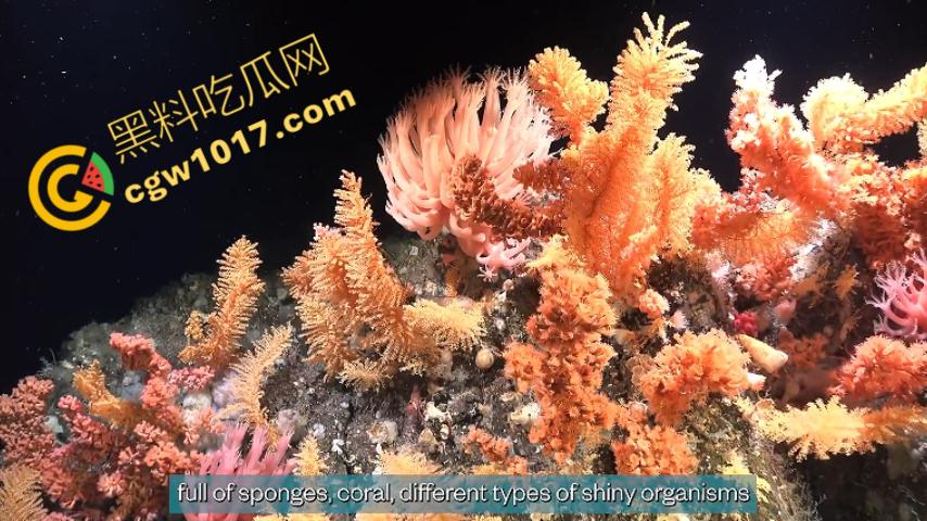 南极科考内部视频劲爆流出:30种未知致命生物!从“死亡之球”到“僵尸蠕虫”,史前病毒横行,足以令人毛骨悚然!-11