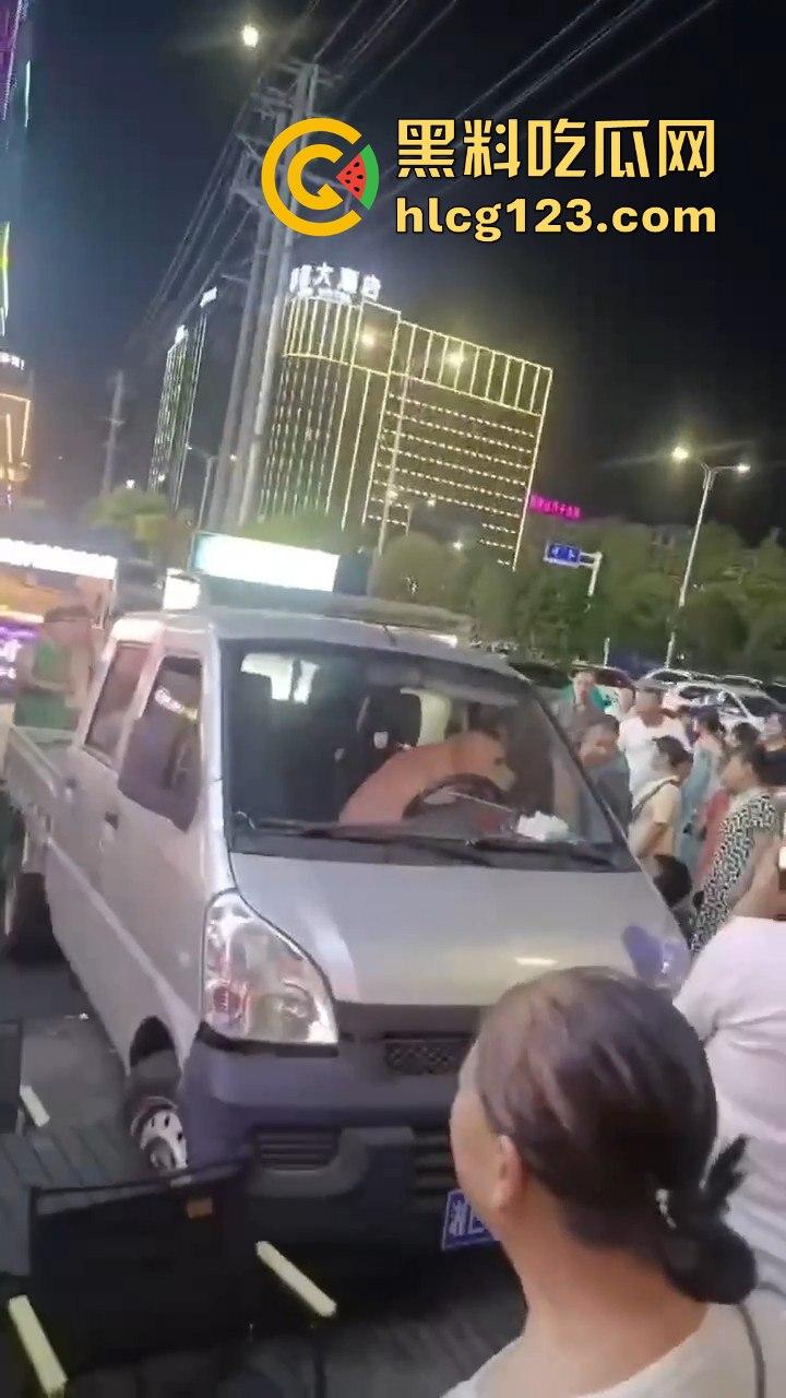 湖南邵东拉布拉多狗司机开倒车撞摊,装无辜伸舌头竟然成了明星!-5
