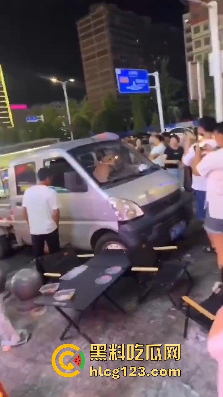 湖南邵东拉布拉多狗司机开倒车撞摊,装无辜伸舌头竟然成了明星!-6