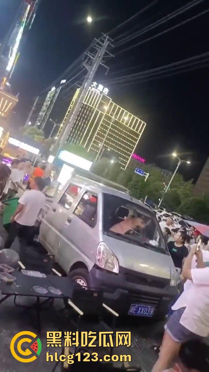 湖南邵东拉布拉多狗司机开倒车撞摊,装无辜伸舌头竟然成了明星!-11
