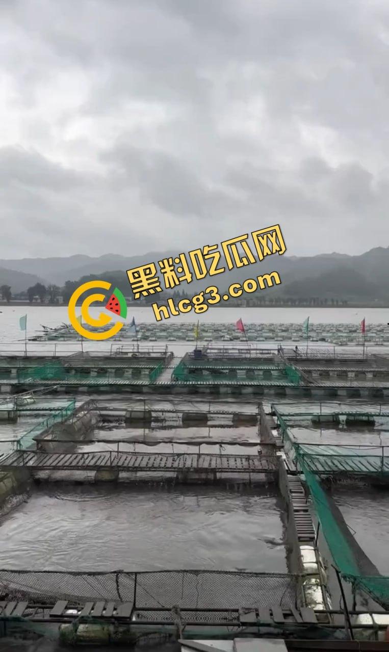 丹东鸭绿江告急!中朝两国放水泄洪,跨国大水灾一夜吞没整个边境-7