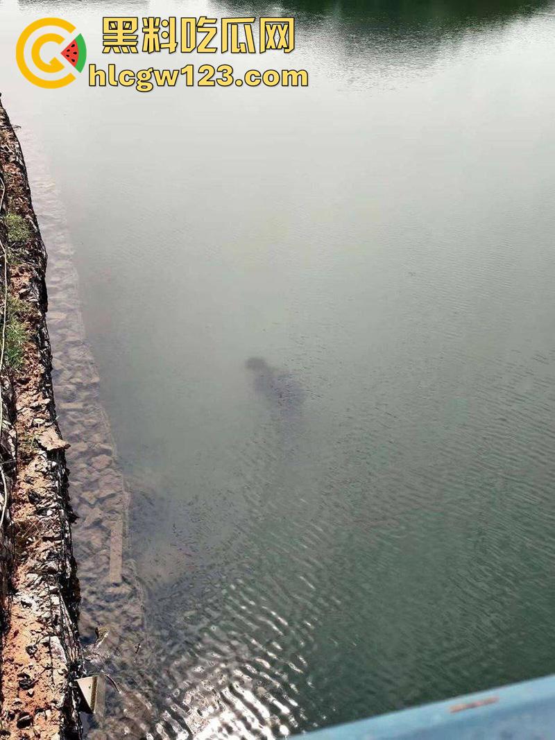 湖北武汉学生坠湖自杀，中国地质大学未来城校区，因女友出轨想不开，竟跳湖自尽遗体已被打捞！-6