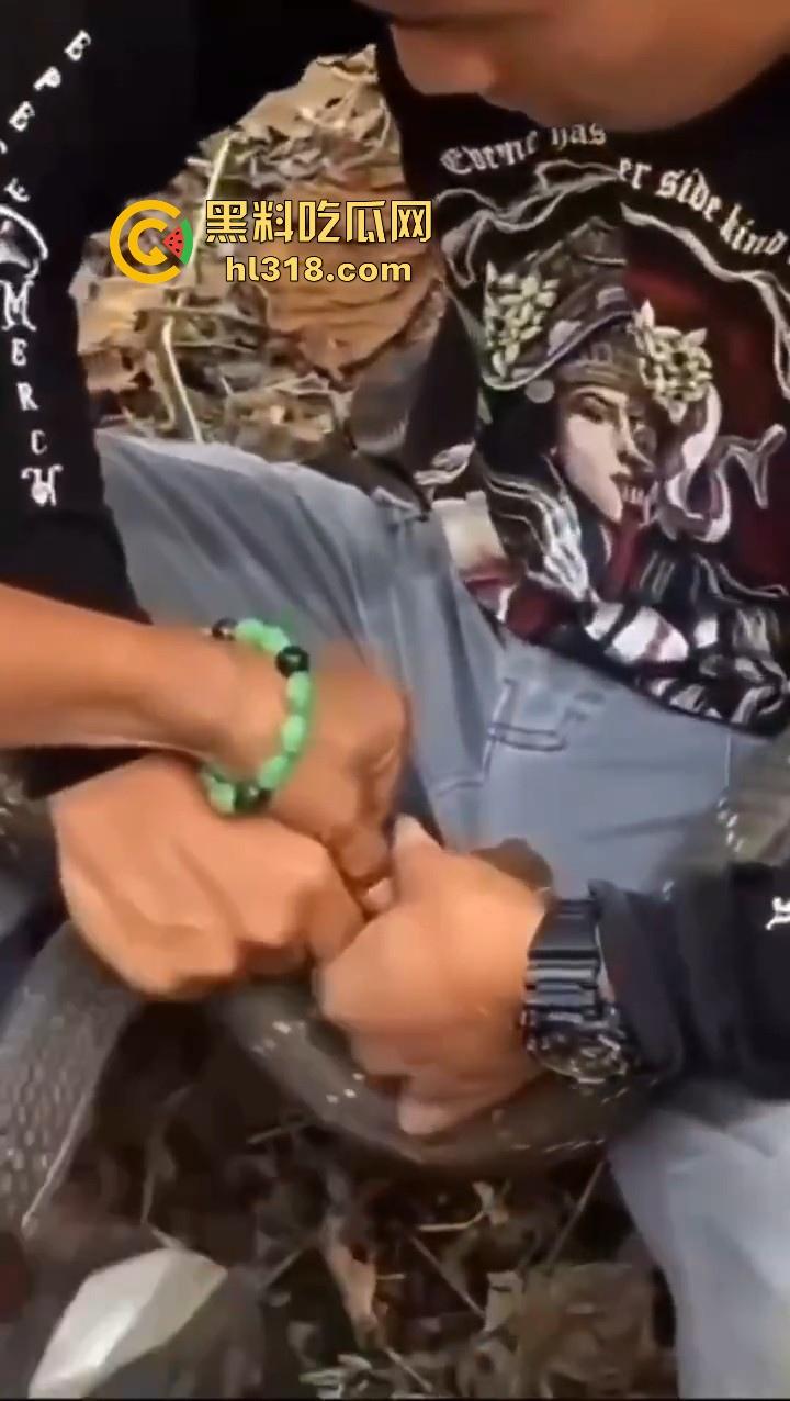 上山采蘑菇偶遇眼镜蛇咬鸡巴,透过裤子咬着死死不放,这是不是感觉不能要了呀!-4