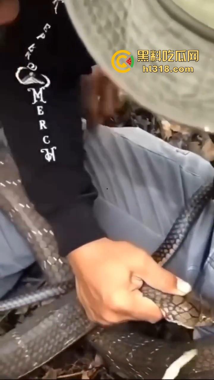 上山采蘑菇偶遇眼镜蛇咬鸡巴,透过裤子咬着死死不放,这是不是感觉不能要了呀!-8