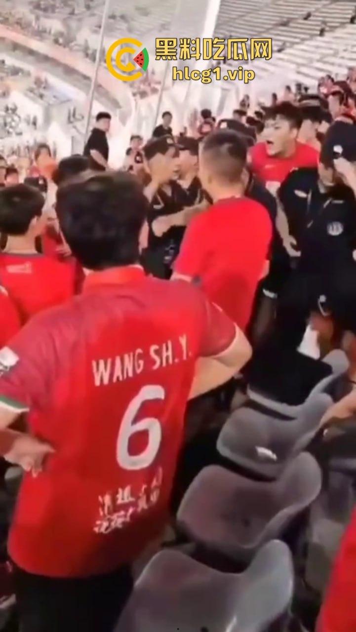 火气有些大!河南球迷在客队看台区大打出手!比看比赛还过瘾-3