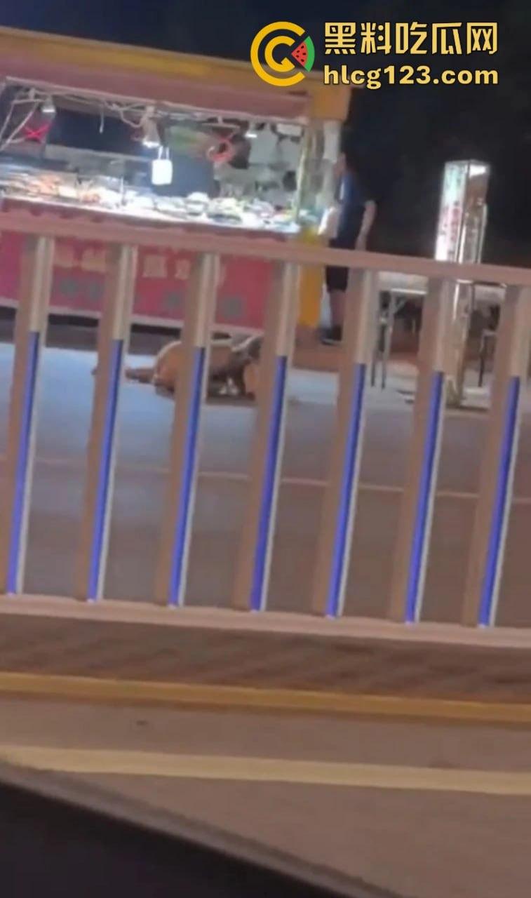 河北邢台 快手网红【吴媛媛】嗑药嗑嗨全裸大街爬行 裸奔求操视频疯传全网-2