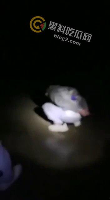 缅甸KK园区猪仔被打视频曝光,珍爱生命远离诈骗!-8