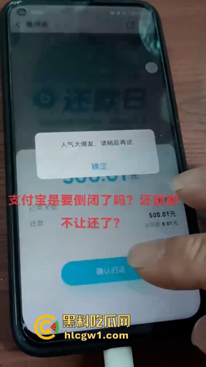 支付宝崩了！双11关键时刻掉链子 付款失败惹众骂-2