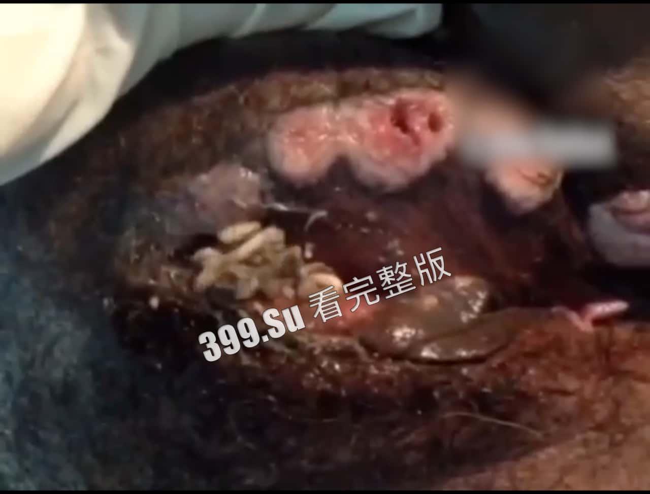 性病篇  谨慎观看！瓜友们出门在外 一定得洁身自爱 世界上没有后悔药  安全第一！！！-5