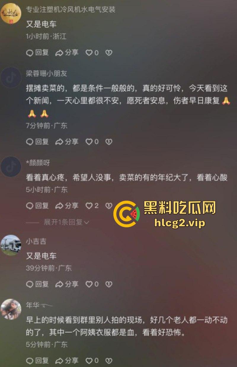 广东中山港口镇 送菜小货车操作失误致地摊事故 现场一片狼藉!-7