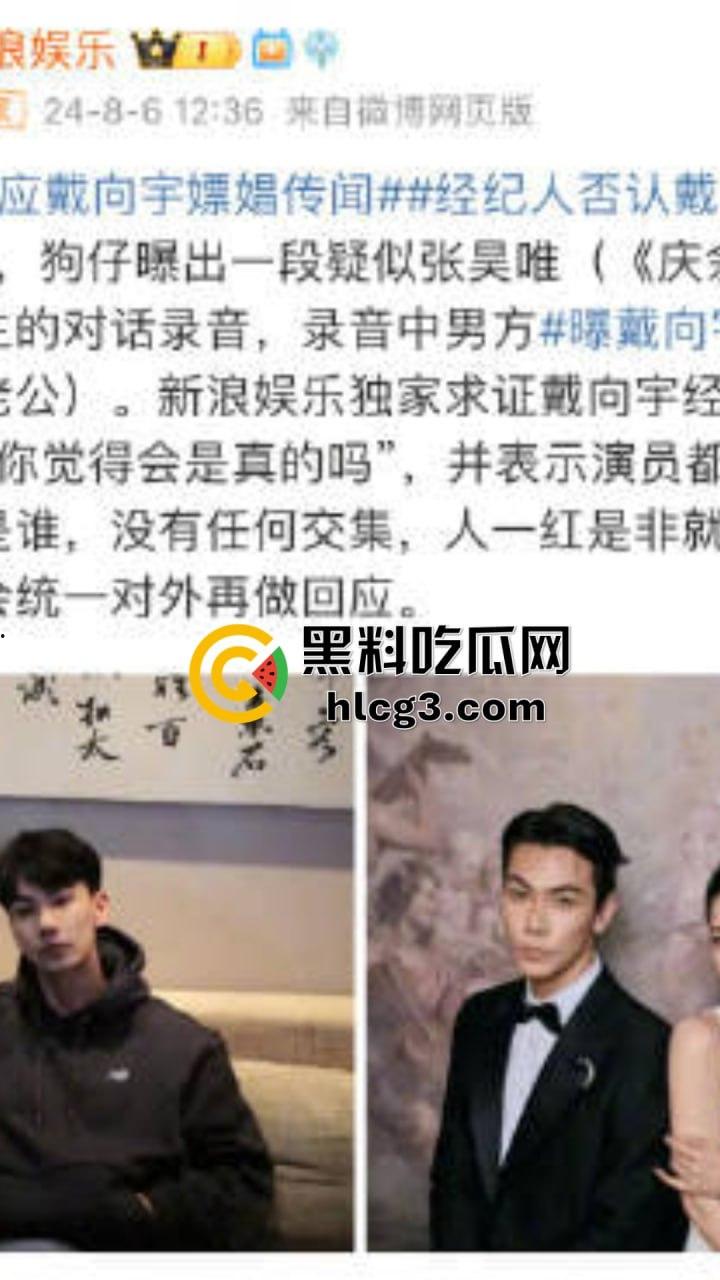 李易峰嫖娼后续挖出陈紫函老公戴向宇参与嫖娼,张昊唯曝出戴向宇嫖娼录音,戴向宇为证清白开无犯罪记录!-5