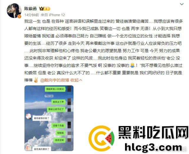 李易峰嫖娼后续挖出陈紫函老公戴向宇参与嫖娼,张昊唯曝出戴向宇嫖娼录音,戴向宇为证清白开无犯罪记录!-6