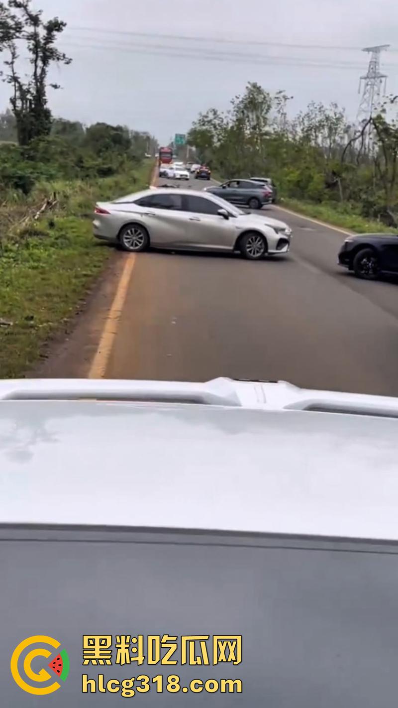 海南猛人路怒杀人，酒驾后与他人发生剐蹭，渴望私了被拒，将其撞倒反复碾压至其死亡！-5